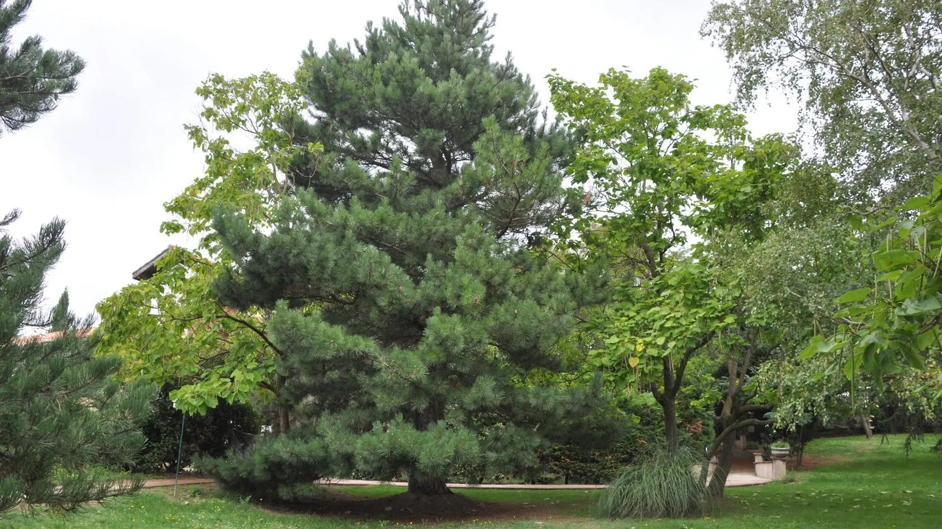 多曼德丽芙酒店 Montgaillard-Lauragais 4*,  法国